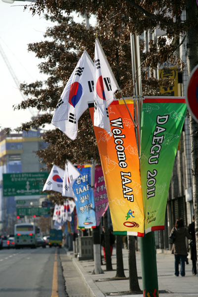 07.2.21 2011세계육상선수권대회 홍보깃발들 (1)